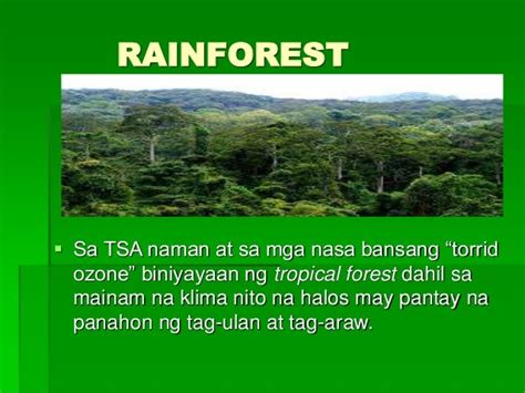 ano ang kahulugan ng taiga|Taiga: mga katangian, flora, klima, palahayupan, mga halimbawa.